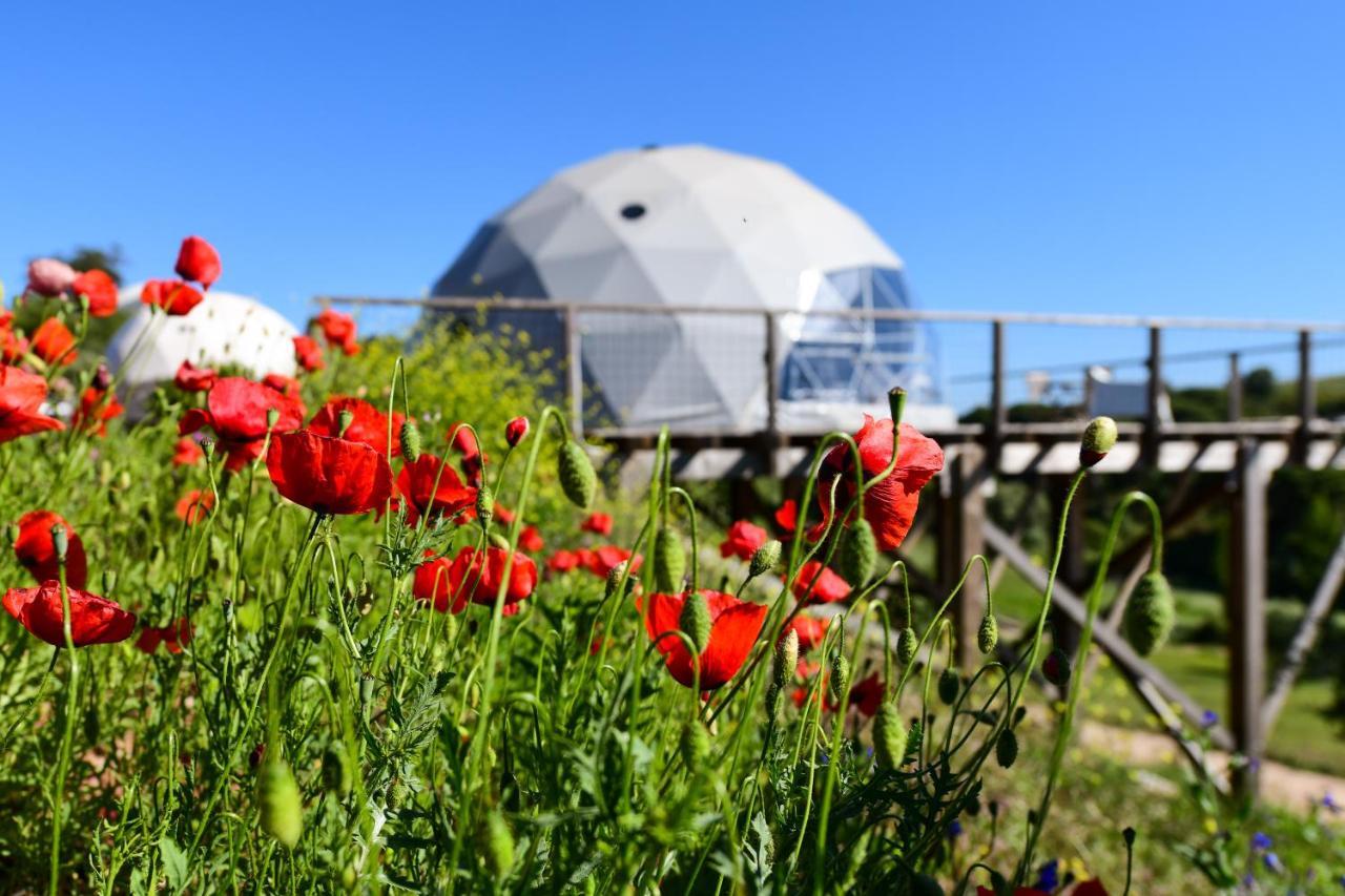 Santiago do Cacém Reserva Alecrim Ecosuite & Glamping المظهر الخارجي الصورة