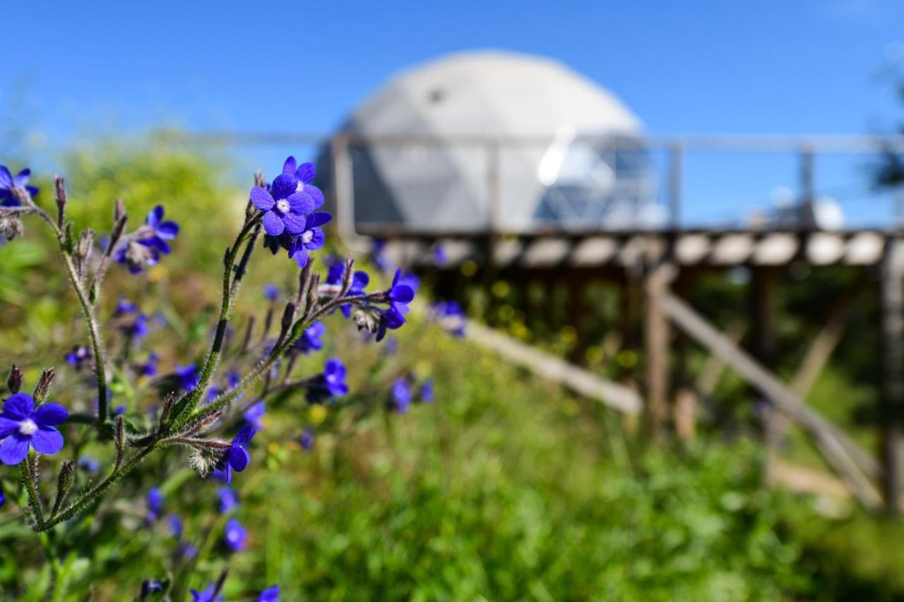 Santiago do Cacém Reserva Alecrim Ecosuite & Glamping المظهر الخارجي الصورة